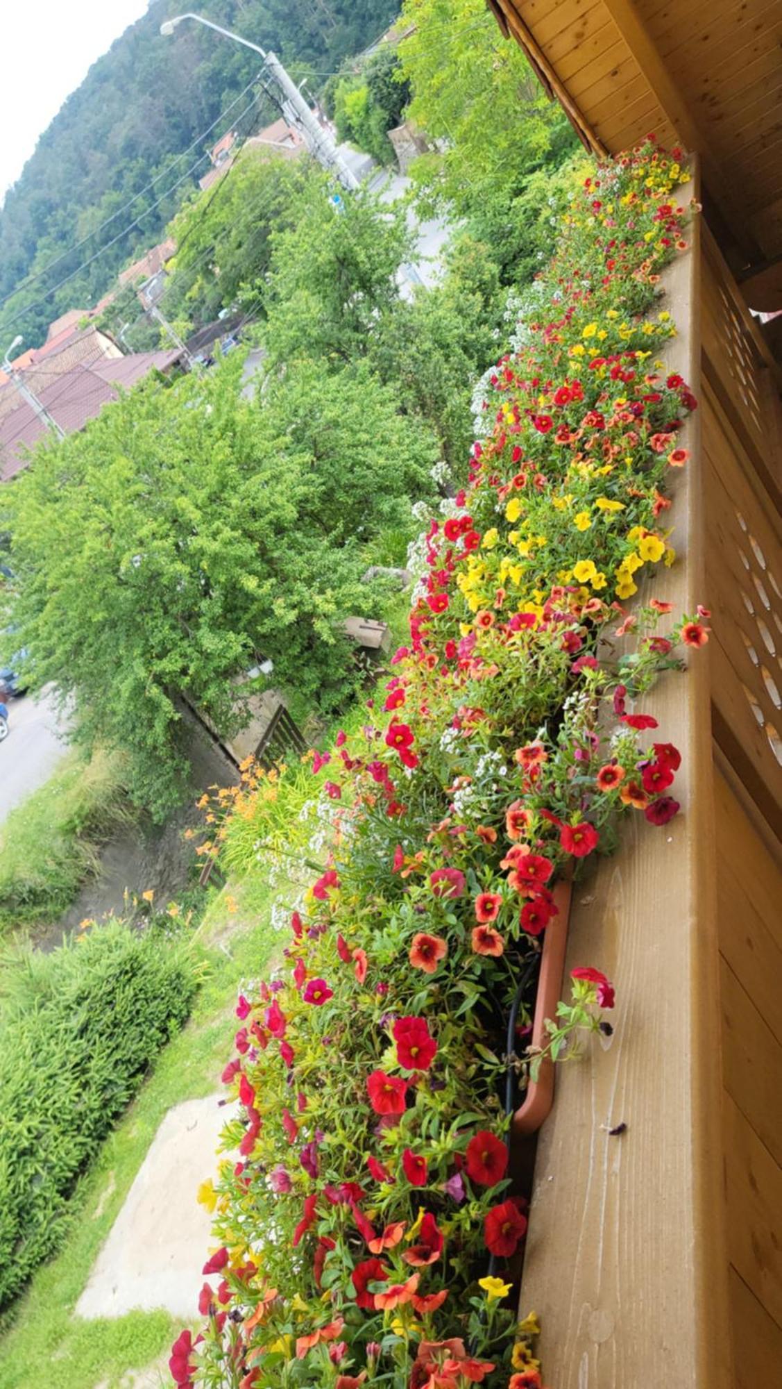 Casa Hetrea Villa Sighisoara Exterior photo
